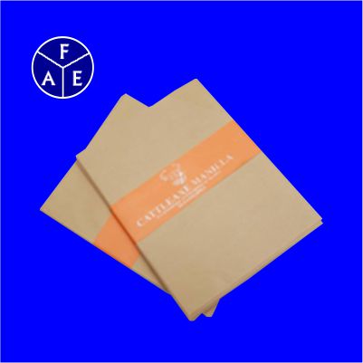 Brown Envelope 9 X 6 PLS